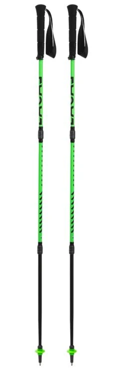 Bastones Lacal Quick Stick Carbone 115-121 Vert