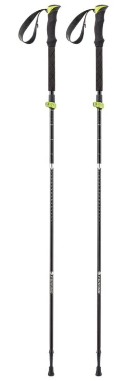 Bastones Ferrino Stick Spantik Noir / Vert