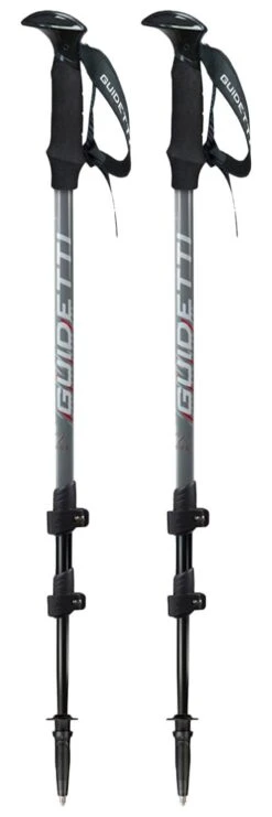 Bastones Guidetti Altitude Givre Gris