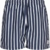 Bañador Fila Sisak Striped Azul Rayas Hombre -Tienda Al Aire Libre banador fila sisak striped azul rayas hombre