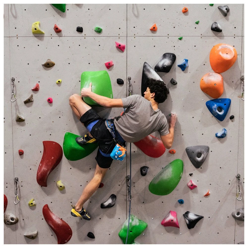 Bolsa Para El Magnesio YY Vertical Animaux Tricératops 8 Bolsa Para El Magnesio YY Vertical Animaux Tricératops - Imagen 6