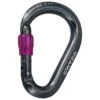 Mosquetones Camp Nimbus Lock Fuschia -Tienda Al Aire Libre d30500555042483fdf68fb301316f48f41b01fea E22CAMPACC204571 CAMP0703663 0