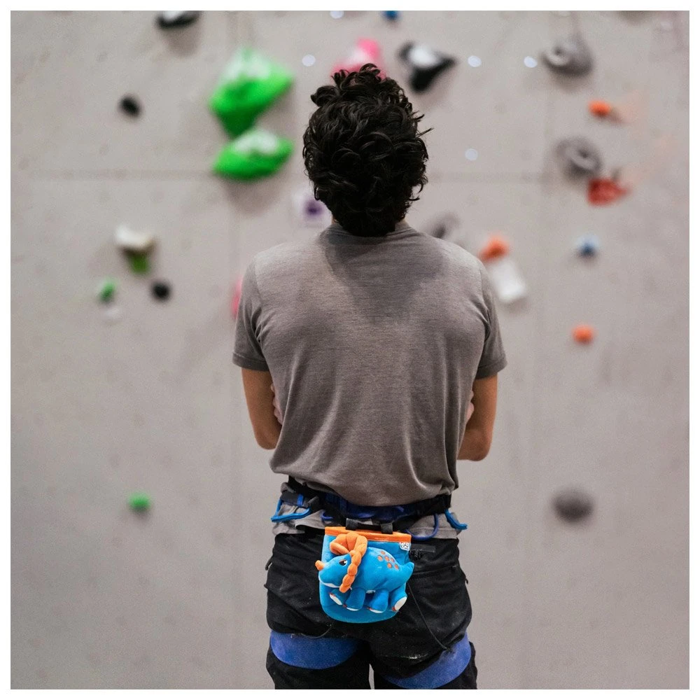 Bolsa Para El Magnesio YY Vertical Animaux Tricératops 6 Bolsa Para El Magnesio YY Vertical Animaux Tricératops - Imagen 4