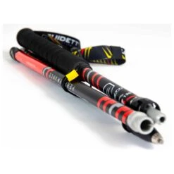 Bastones Guidetti Silver Aéro Alu Noir Rouge 19 Bastones Guidetti Silver Aéro Alu Noir Rouge -Tienda Al Aire Libre dea20eb02a6b671805622b4f26d9e8f7cbd31fe2 E23GUIDBAT3379028 904